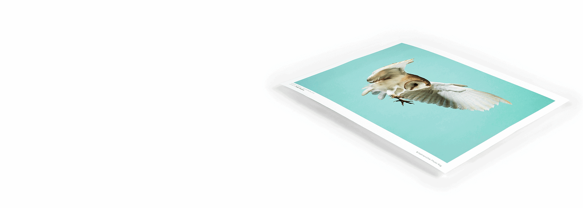 photo-printing-giclee