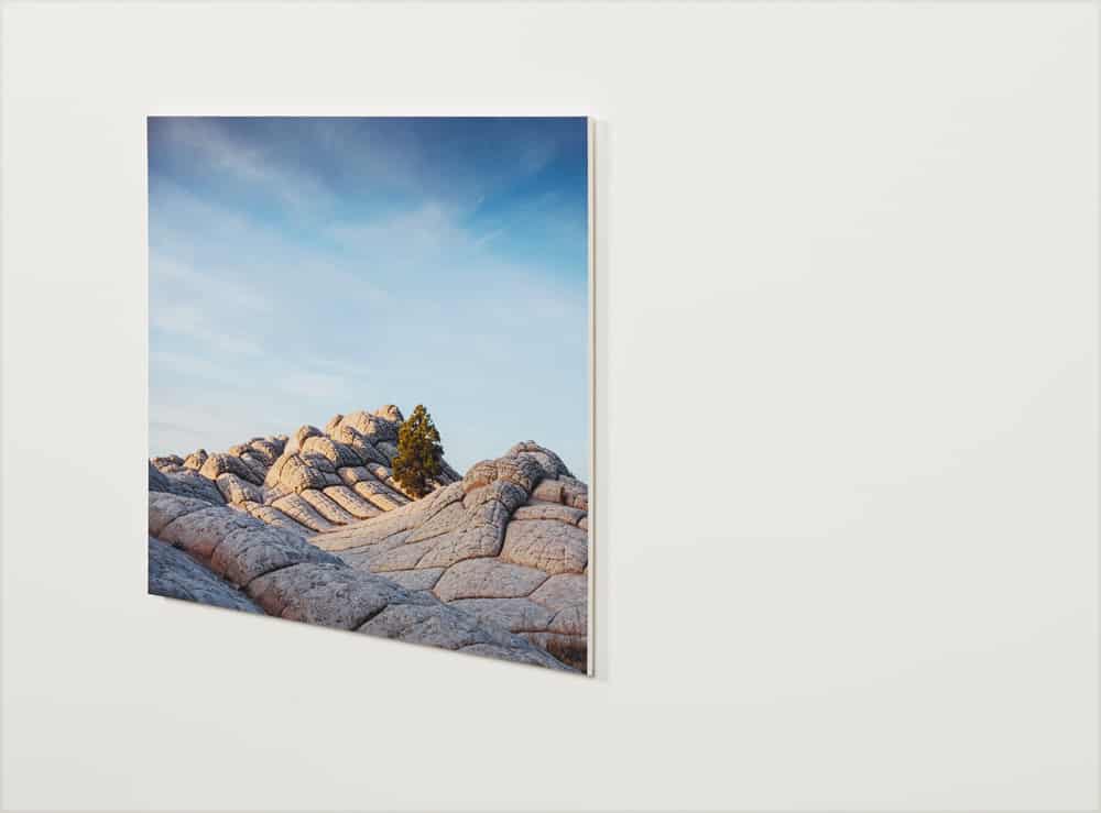 Photo & Fine Art Print Mounting theprintspace