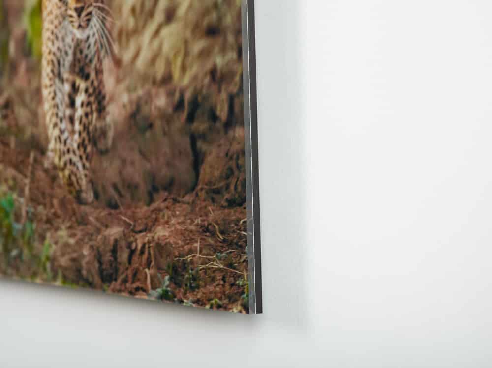 Photo & Fine Art Print Mounting theprintspace