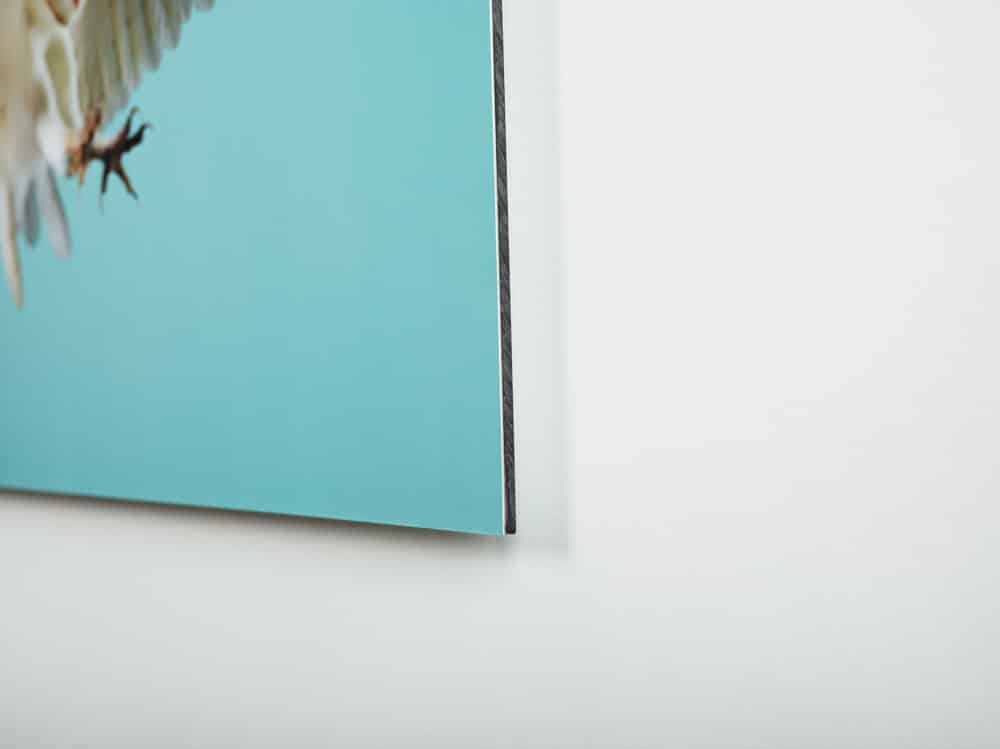 Photo & Fine Art Print Mounting theprintspace