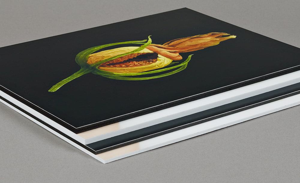 Photo & Fine Art Print Mounting theprintspace