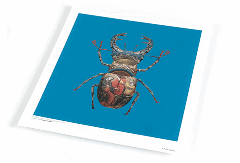 ctype-printing-paper