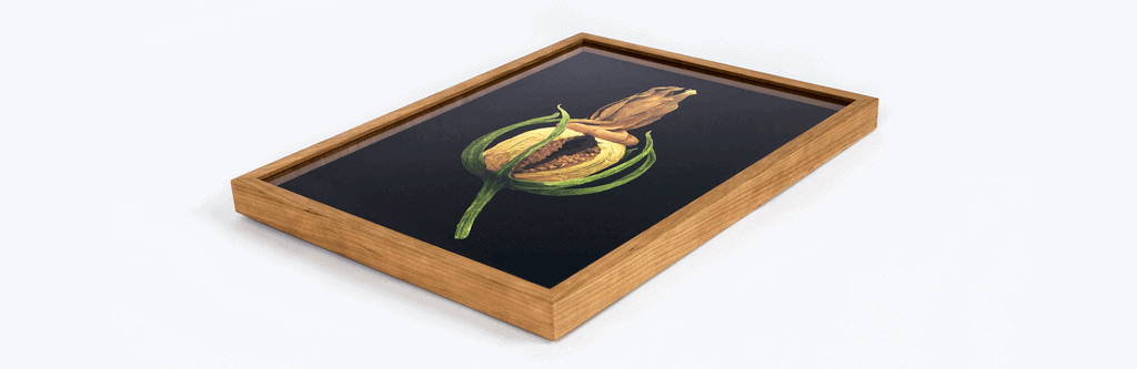 framed artwork