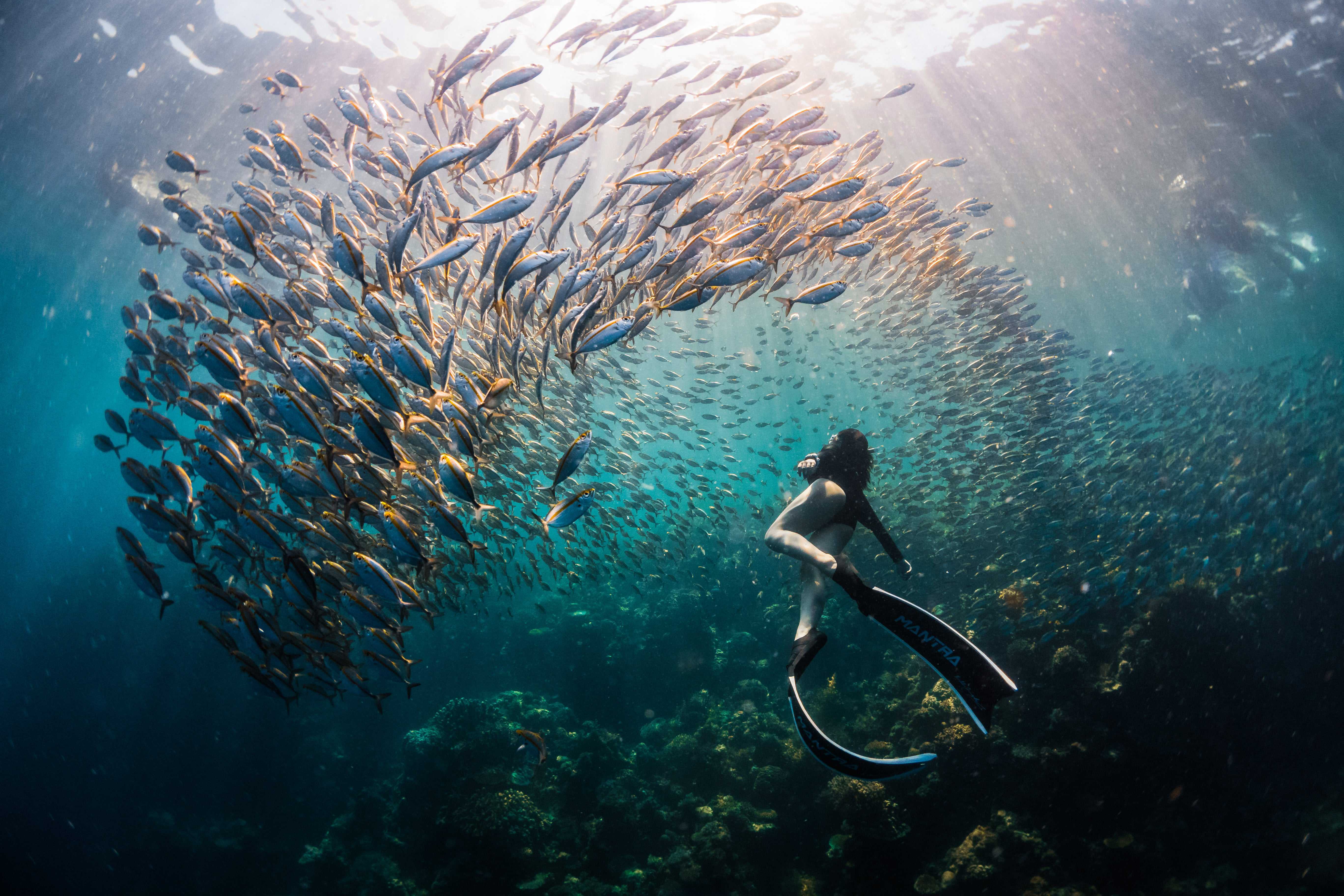 Official Print Partner of the 2019 Sony World Photography Awards