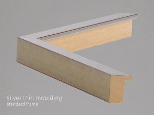 Silver Thin Moulding Standard Frame Theprintspace