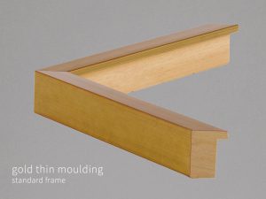 Gold Thin Moulding Standard Frame Theprintspace