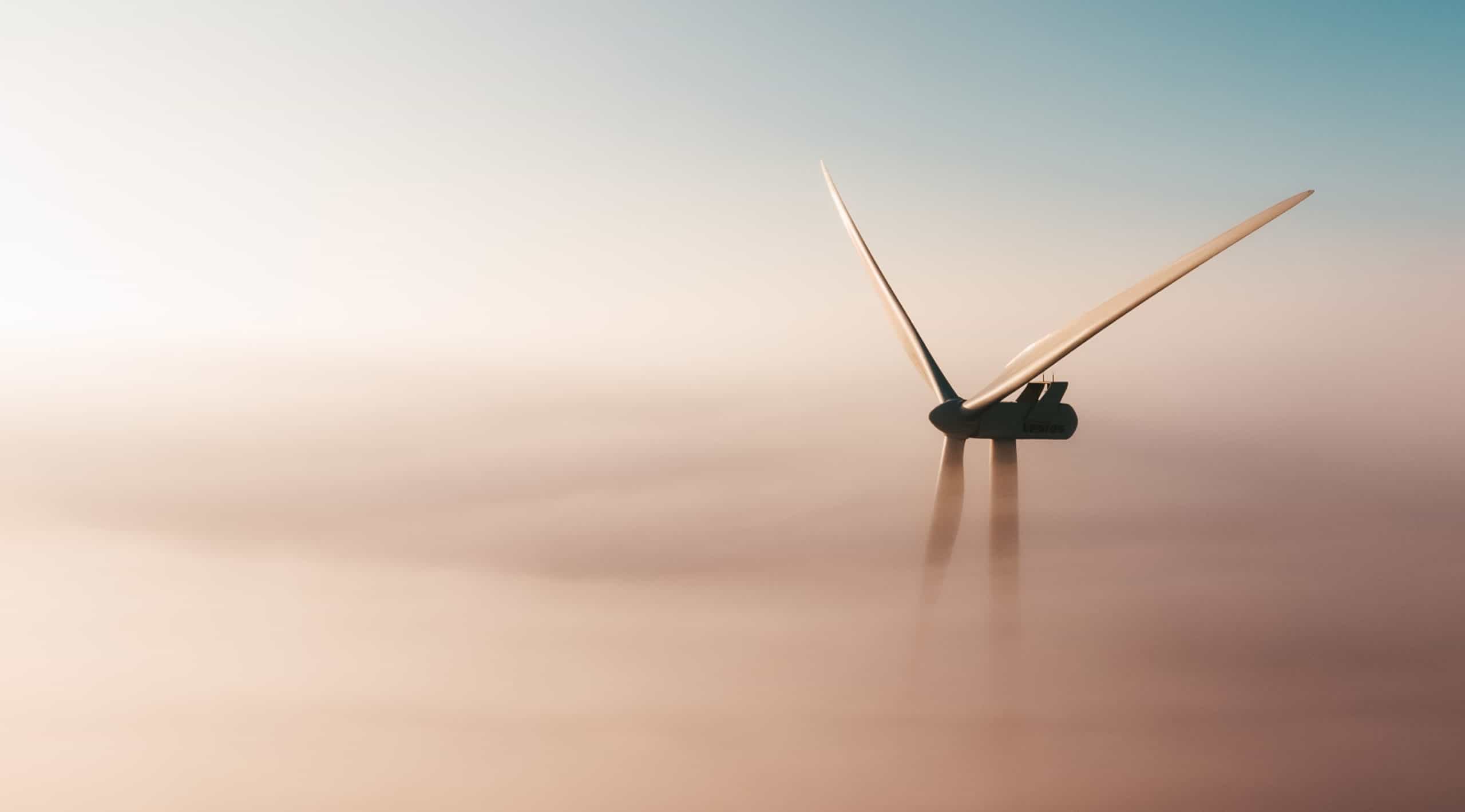 Fully carbon neutral art & photo printing